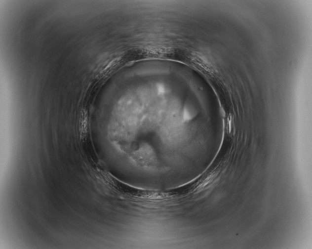 X0000087351251200704271413