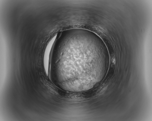 X0000087351252200704271413