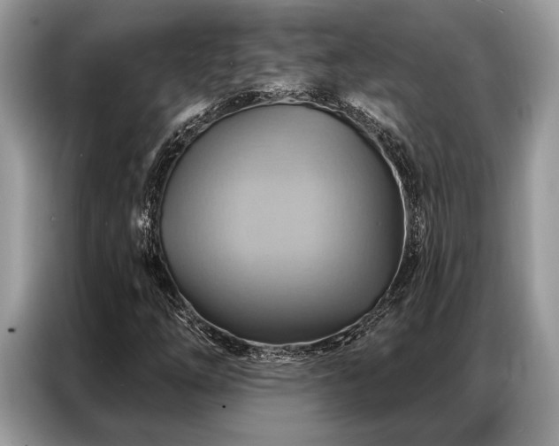 X0000087351254200704271413