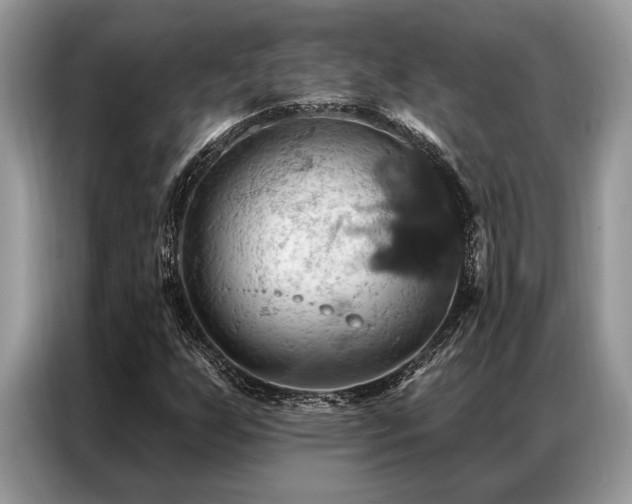 X0000087351255200704271413