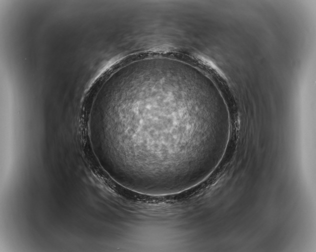 X0000087351256200704271413