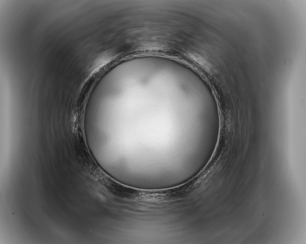 X0000087351258200704271413