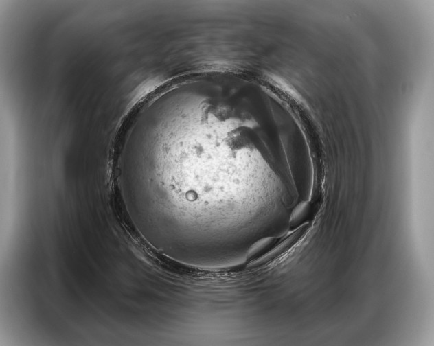 X0000087351259200704271413