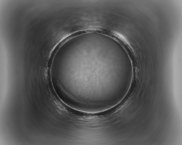X0000087351260200704271413