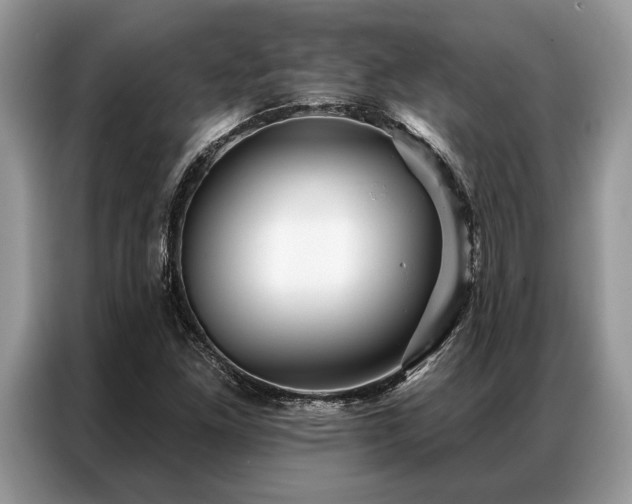 X0000087351261200704271413