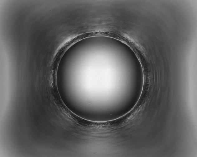 X0000087351262200704271413