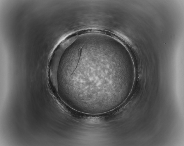 X0000087351264200704271413