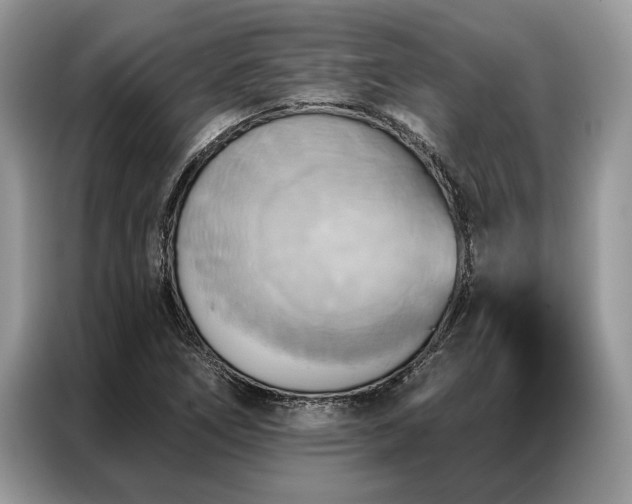 X0000087351266200704271413