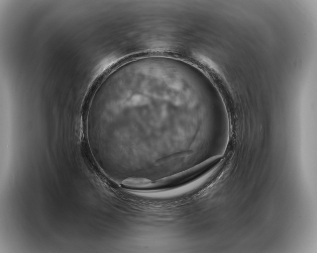 X0000087351267200704271413