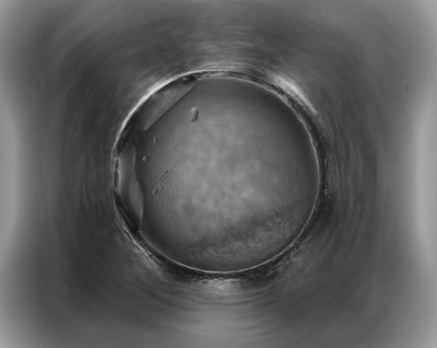X0000087351268200704271413