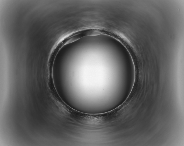 X0000087351270200704271413