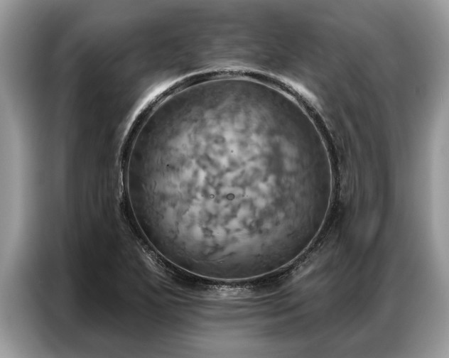 X0000087351271200704271413