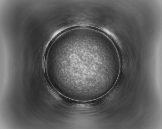 X0000087351272200704271413