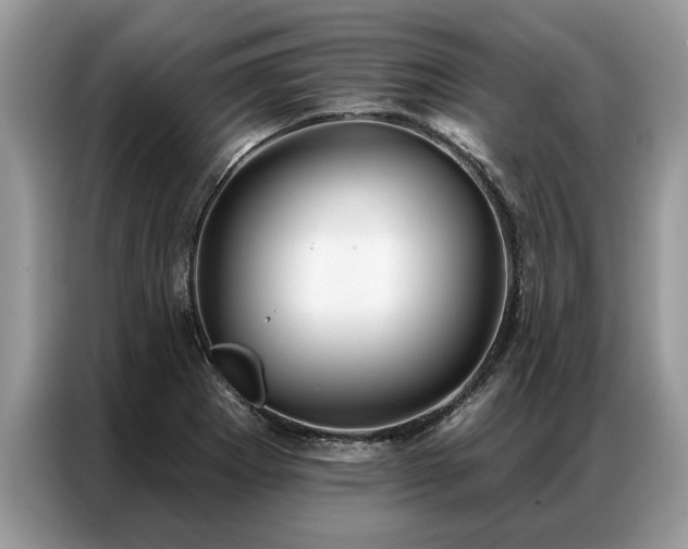 X0000087351273200704271413