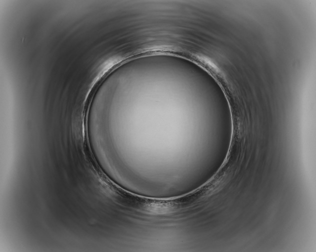 X0000087351274200704271413