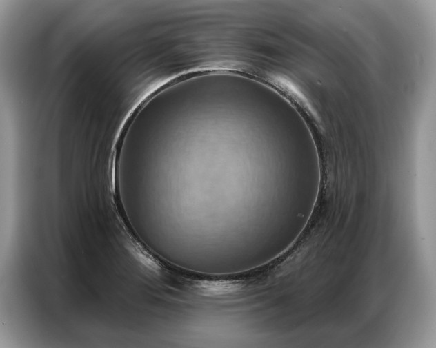 X0000087351276200704271413