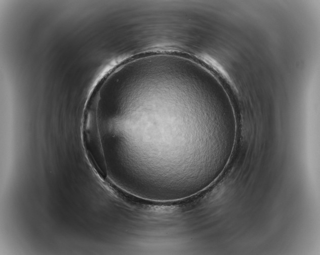 X0000087351277200704271413