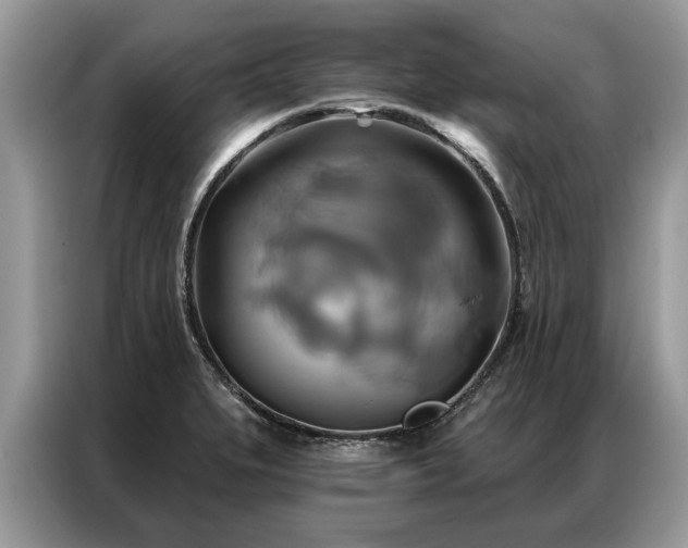X0000087351279200704271413