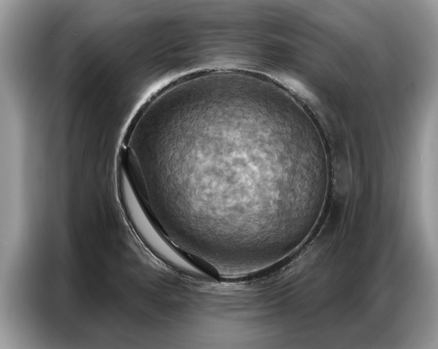 X0000087351280200704271413
