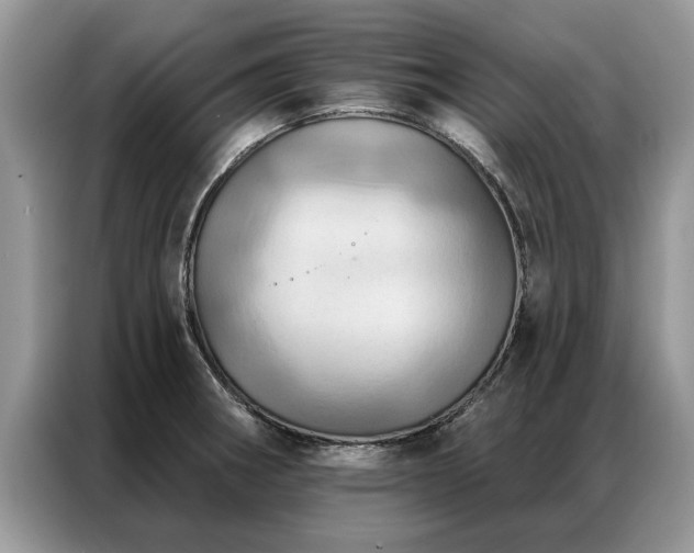 X0000087351282200704271413