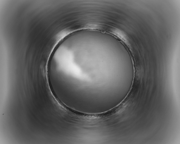 X0000087351283200704271413
