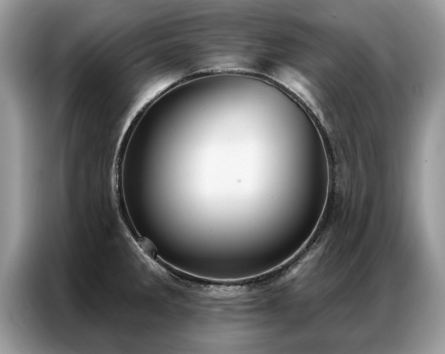 X0000087351285200704271413