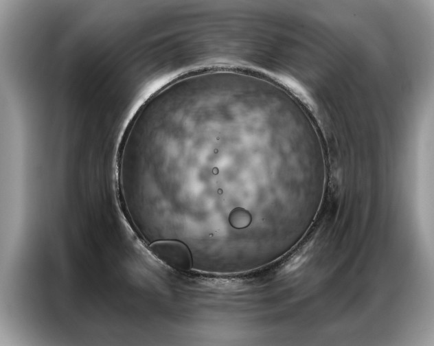 X0000087351287200704271413