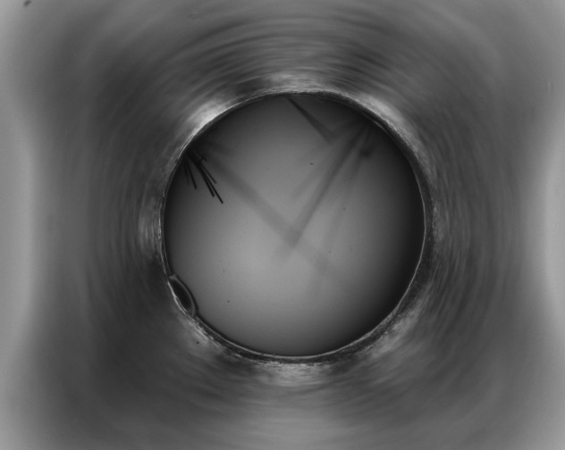 X0000087351289200704271413