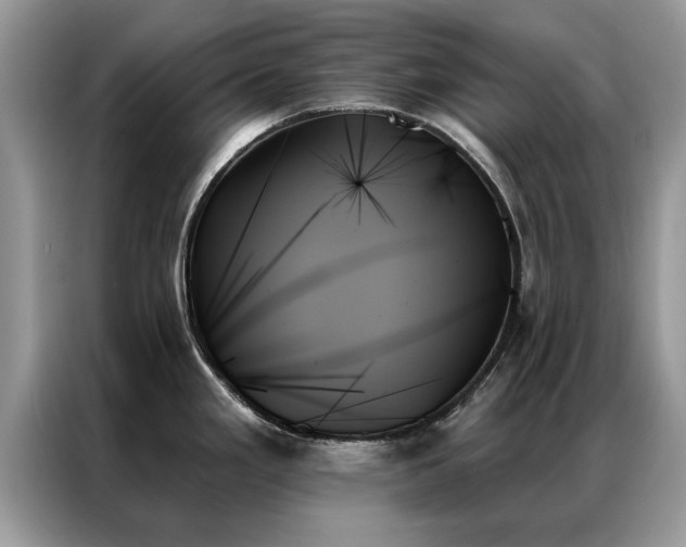 X0000087351293200704271413