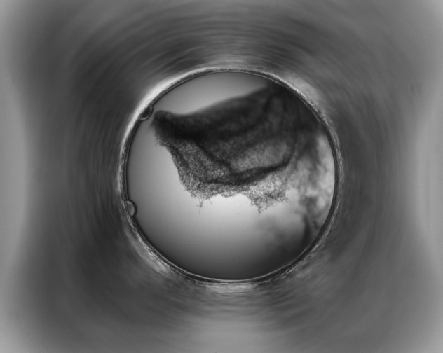 X0000087351296200704271413
