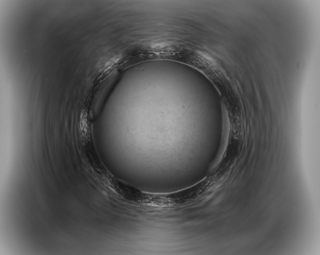 X0000087351298200704271412