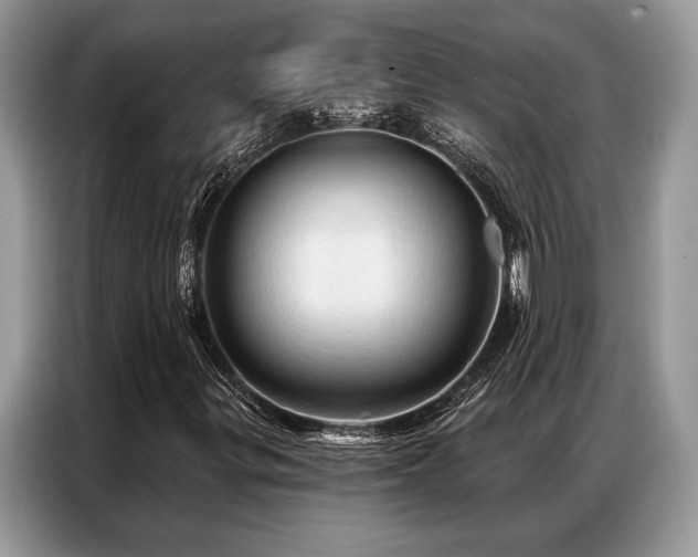 X0000087351299200704271412