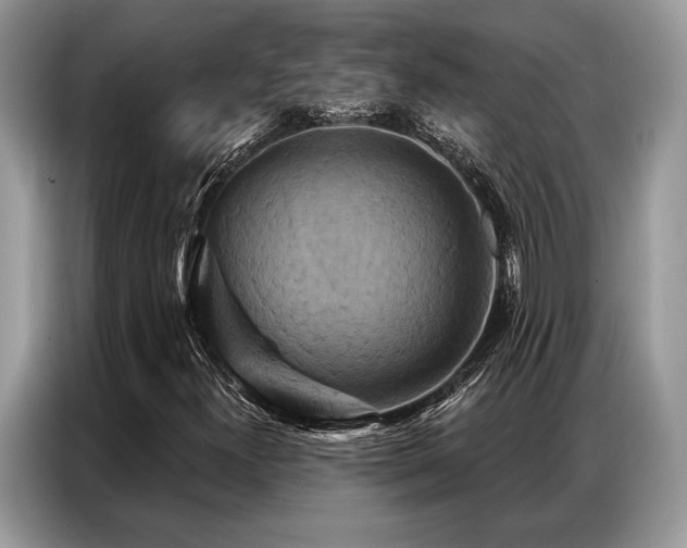 X0000087351300200704271412