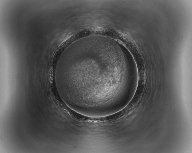X0000087351301200704271412