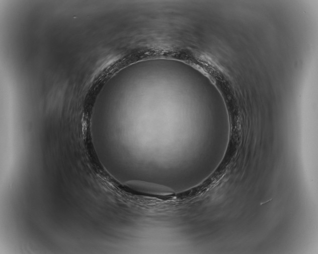 X0000087351302200704271412