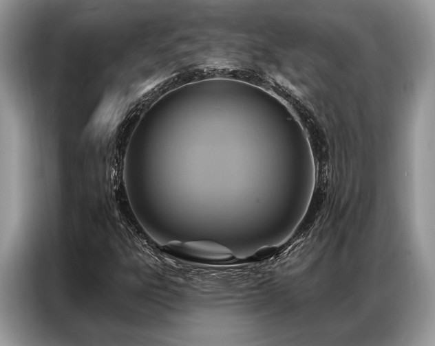 X0000087351303200704271412