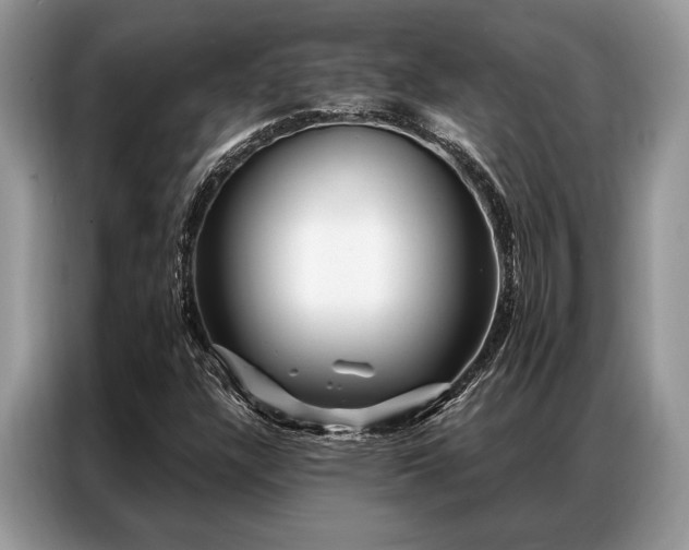 X0000087351304200704271412