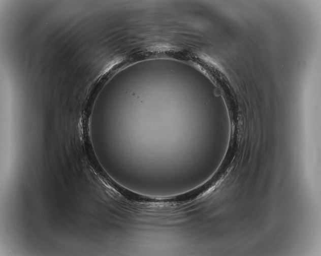 X0000087351305200704271412