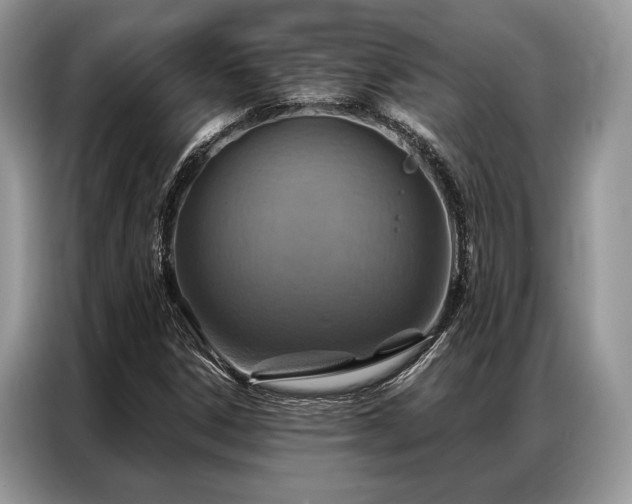 X0000087351306200704271412
