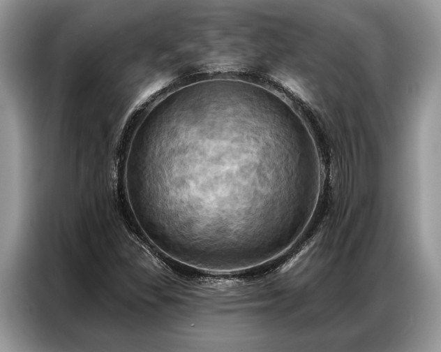 X0000087351309200704271412