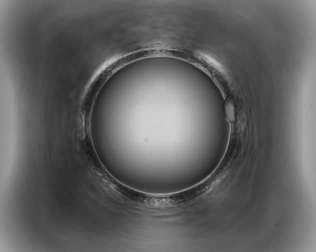 X0000087351310200704271412