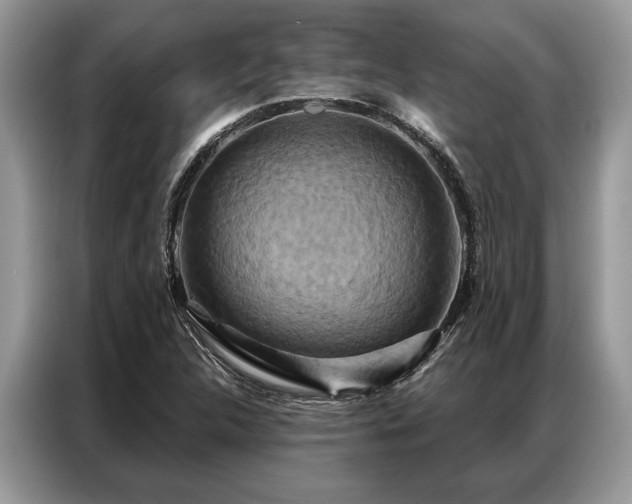 X0000087351312200704271412