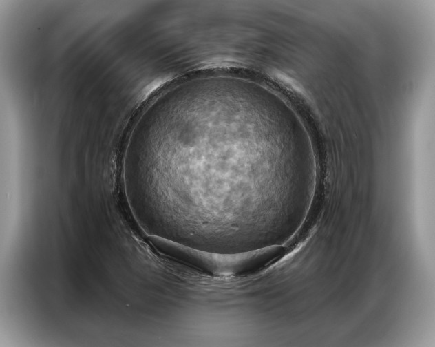 X0000087351313200704271412