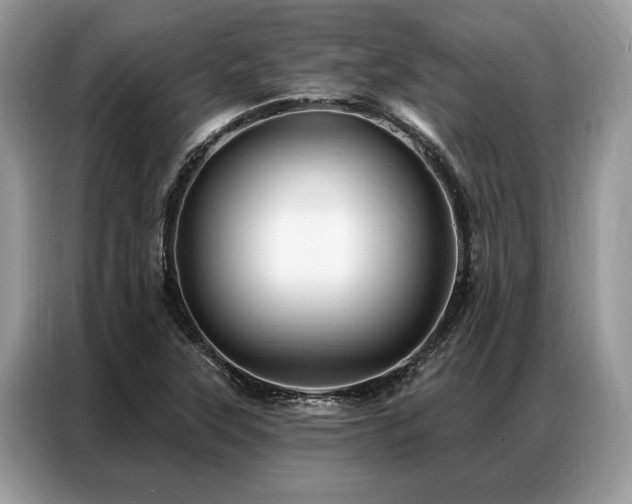X0000087351315200704271412