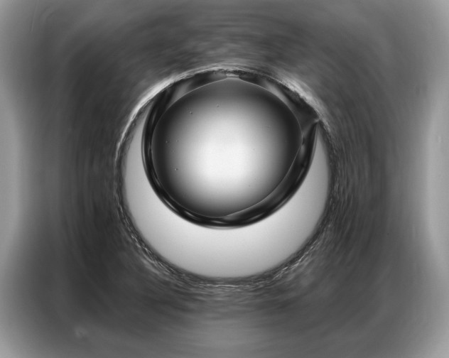 X0000087351316200704271412