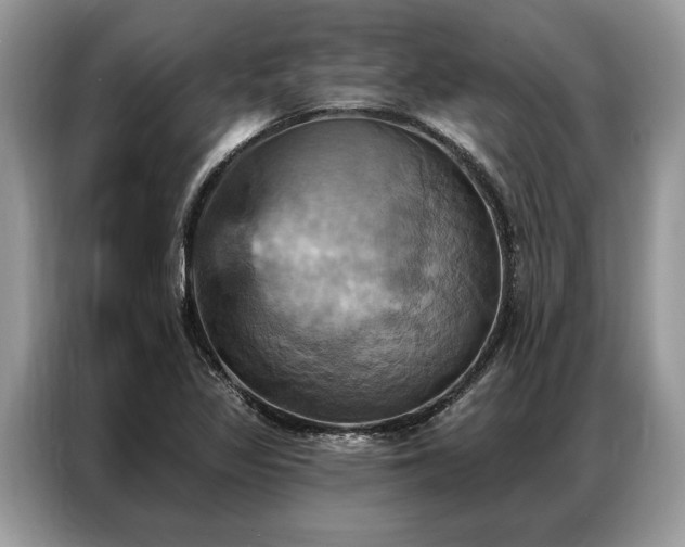 X0000087351317200704271412