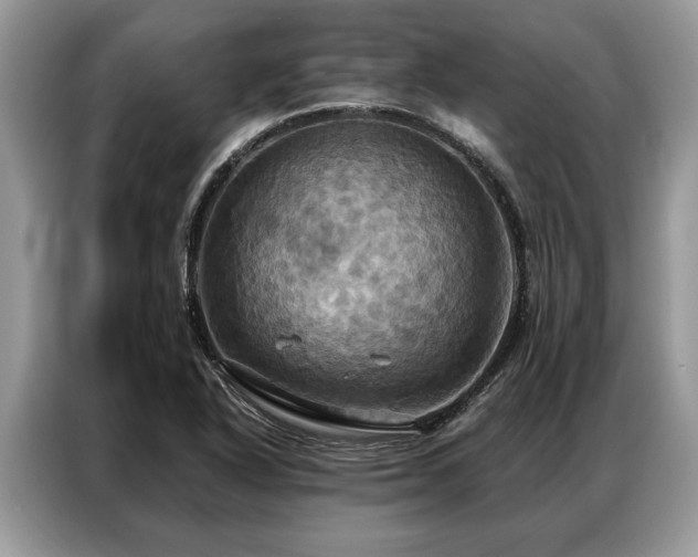 X0000087351318200704271412