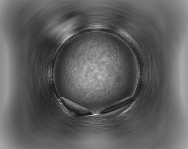 X0000087351321200704271412