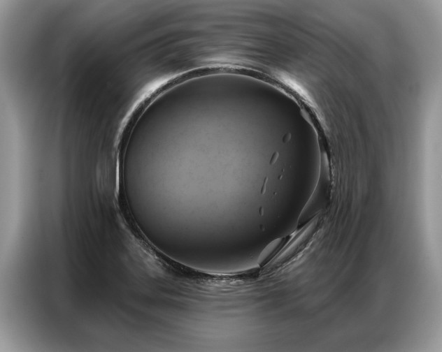 X0000087351323200704271412