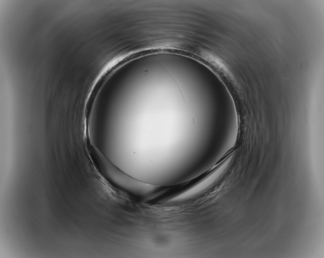 X0000087351324200704271412